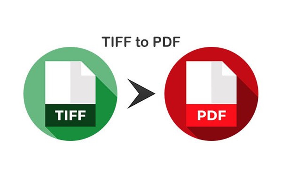 Пдф в tiff в налоговую. Пдф в тифф. TIFF В pdf. Тиф в пдф. Tif картинки.